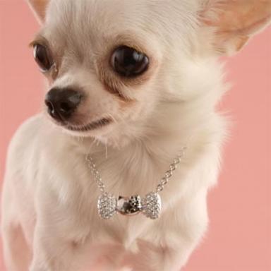 Hello Kitty Pet Necklace