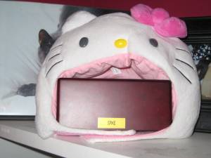 hello-kitty-cathood-71 Hello Kitty cat hood of death