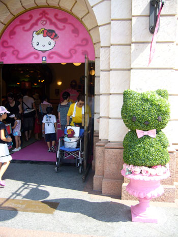 hello-kitty-plant Hello Kitty plant