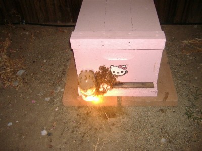 hello kitty bee hive pink Hello Kitty bee hive with bees
