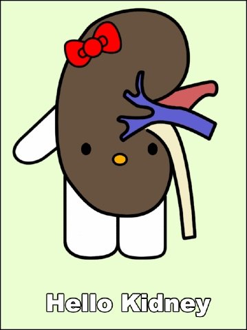 hello kitty kidney Hello Kitty kidney