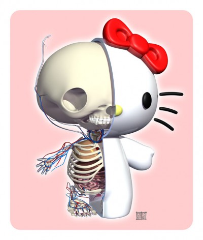 hello kitty anatomy hello kitty anatomy